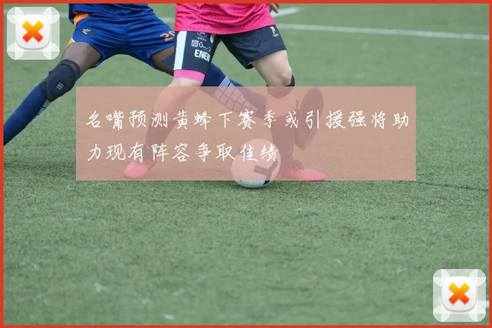 名嘴预测黄蜂下赛季或引援强将助力现有阵容争取佳绩
